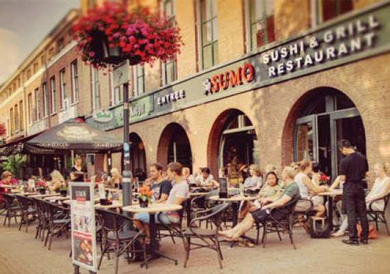Sumo-HCN-Arnhem.jpg