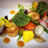 coquille.jpg