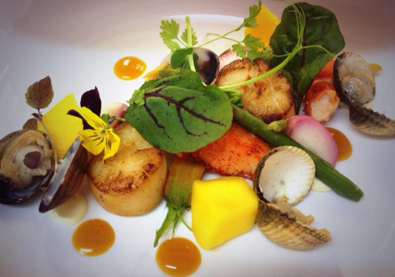 coquille.jpg
